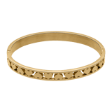 Guess stainless steel goldplated bangle met kristal voor dames