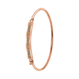 Stainless steel roséplated kinderarmband bangle met kristal