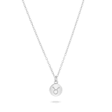 Zilveren ketting&hanger disc sterrenbeeld