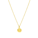 Zilveren goldplated ketting met hanger sterrenbeeld voor dames