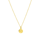 Zilveren goldplated ketting met hanger sterrenbeeld voor dames