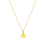Zilveren goldplated ketting met hanger sterrenbeeld voor dames