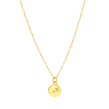 Zilveren goldplated ketting met hanger sterrenbeeld voor dames
