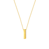 Stainless steel goldplated ketting met hanger bar voor dames