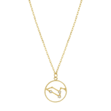 Bijoux goudkleurige ketting met hanger sterrenbeeld Leeuw voor dames