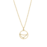 Bijoux goudkleurige ketting met hanger sterrenbeeld Steenbok voor dames