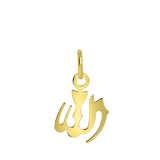 9 karaat hanger Allah 