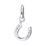 Zilveren hanger hoefijzer