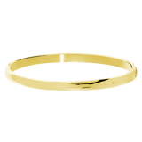 Stainless steel armband bangle goldplated 5mm