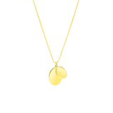 Zilveren goldplated naamketting met hanger voor dames