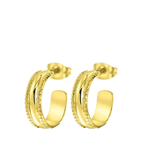 Stainless steel goldplated oorringen voor dames