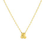 Stainless steel goldplated ketting met letterhanger voor dames