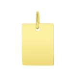 Zilveren goldplated hanger voor dames