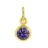 Zilveren goldplated hanger met geboortesteen voor dames