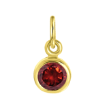 Zilveren goldplated hanger met geboortesteen voor dames
