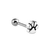 Stainless steel helixpiercing hondenpoot