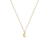 Stainless steel goldplated ketting met hanger voor dames
