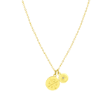 Stainless steel goldplated ketting met hanger munt met zirkonia voor dames