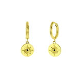 Stainless steel goldplated oorringen voor dames