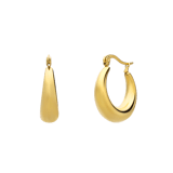 Stainless steel goldplated oorringen voor dames