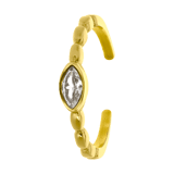 Stainless steel goldplated ring met zirkonia voor dames