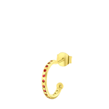 Zilveren goldplated oorringen met geboortesteen voor dames