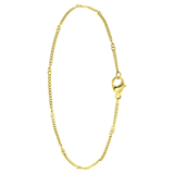 Stainless steel goldplated enkelbandje voor dames