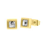 Stainless steel goldplated herenoorknoppen met zirkonia