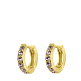 Zilveren goldplated oorringen met geboortesteen voor dames