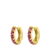 Zilveren goldplated oorringen met geboortesteen voor dames