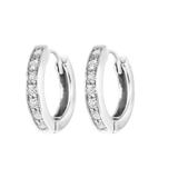 Stainless steel oorringen met zirkonia steentjes voor dames