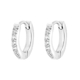 Stainless steel oorbellen met zirkonia steentjes