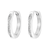 Stainless steel oorbellen met zirkonia steentjes
