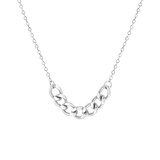 Stainless steel ketting met gourmet schakels