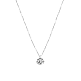 Zilveren ketting&hanger geboortebloem