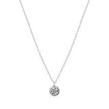 Zilveren ketting&hanger geboortebloem
