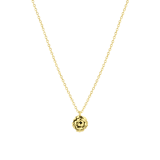 Zilveren goldplated ketting met hanger geboortebloem voor dames