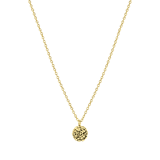 Zilveren goldplated ketting met hanger geboortebloem voor dames