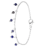 Stainless steel armband met blauwadersteen