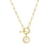 Stainless steel goldplated ketting met hanger voor dames