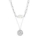 Stainless steel dubbele ketting