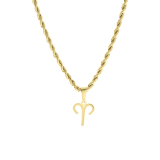 Stainless steel goldplated ketting met hanger sterrenbeeld voor dames