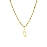 Stainless steel goldplated ketting met hanger sterrenbeeld voor dames