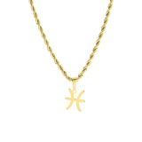 Stainless steel goldplated ketting met hanger sterrenbeeld voor dames