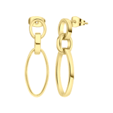 Stainless steel goldplated oorhangers voor dames