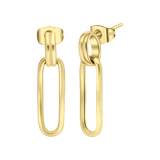 Stainless steel goldplated oorhangers voor dames