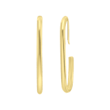 Stainless steel goldplated oorhangers voor dames