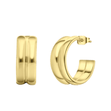 Stainless steel goldplated oorringen voor dames