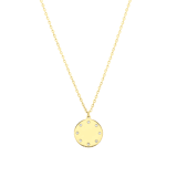 Stainless steel goldplated ketting met hanger voor dames