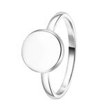 Stainless steel ring disc